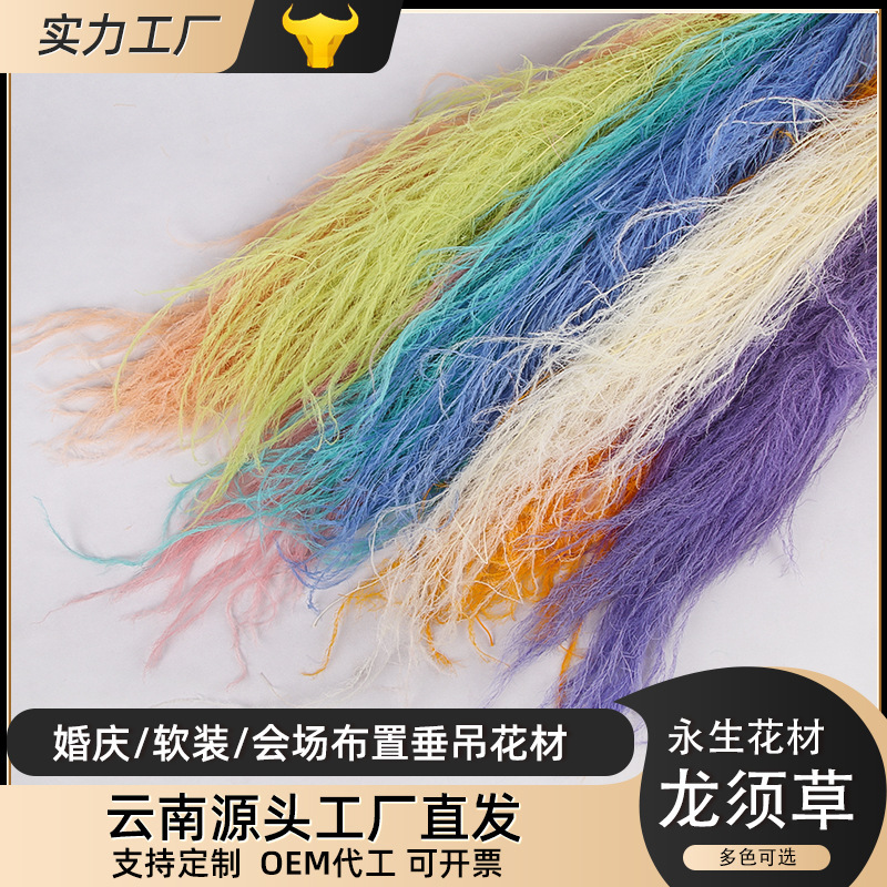 Gracilaria dry flower fireworks immortal bouquet flower material feather grass wall hanging upside down soft wedding venue decoration