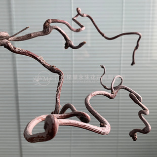 ���ᗗ��֦��������֦��Ȼ��ֲ�젝�¼��ֹ�ԭľ�ݘ�֦��֦�[��