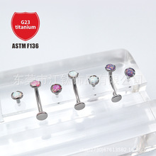 F136�Ѷ��궤����ı����ΰ���G23�ѺϽ����崩����Ʒ�������껷