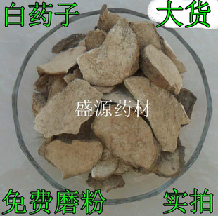 ��ș�� ��ș�� ��ș֬  �P���ز��� ɽ���� ��ș ��ș�� ����ݹ