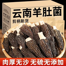 �����Ʒ��Ǿ���؛Ұ�����Ģ������������ͯ�����Ҝ�����ʳ��