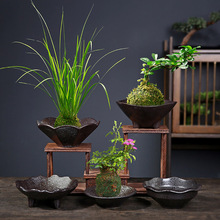 ̦�\��ֲ���бPˮ��̦�\��ֲ���մɻ����ˮ�P��̖�[����ʽ���бP