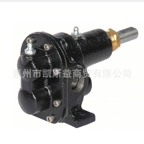 DAYTON齿轮泵头  DAYTON 4KHK5 4KHK5A