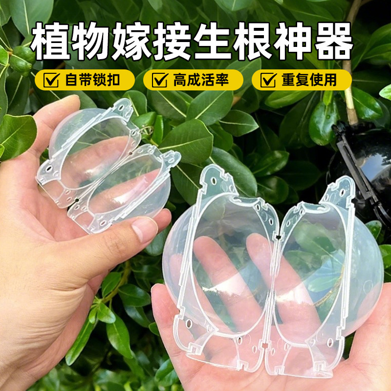 Plant High-Pressure Box Propagation Box Grafting Box Plant Rooting Ball Garden Tree High-Pressure Branch Propagator Propagation Ball Transparent