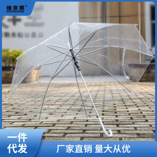 男女网红透明雨伞可爱半自动直柄学生儿童小清新雨伞工厂一件批发