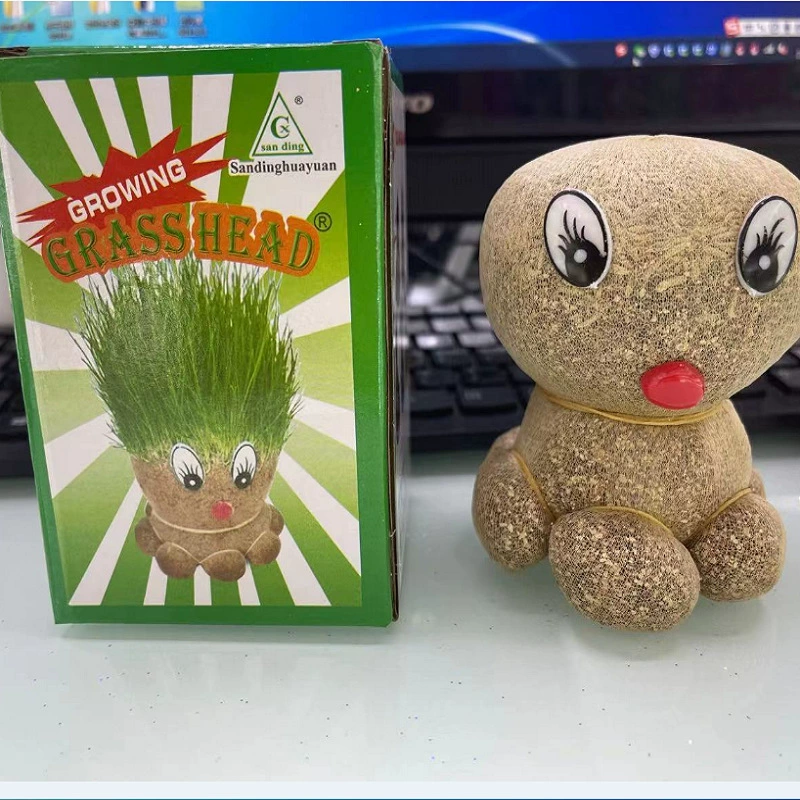 Осьминог Трава Кукла полив прорастание ржи кошка Трава черепаха длинная трава большие глаза мой мальчик большой плоскоголовый старший брат трава голова кукла
