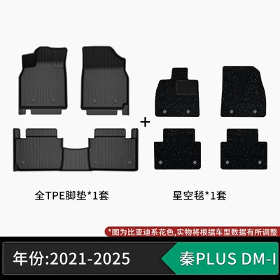 formaldehyde, non-slip and wear-resistant, Modelə uyğun ayaqaltı - 21-25-models-byd-qin-plusdm-i-tpe-floor-mats-starry-sky-carpet