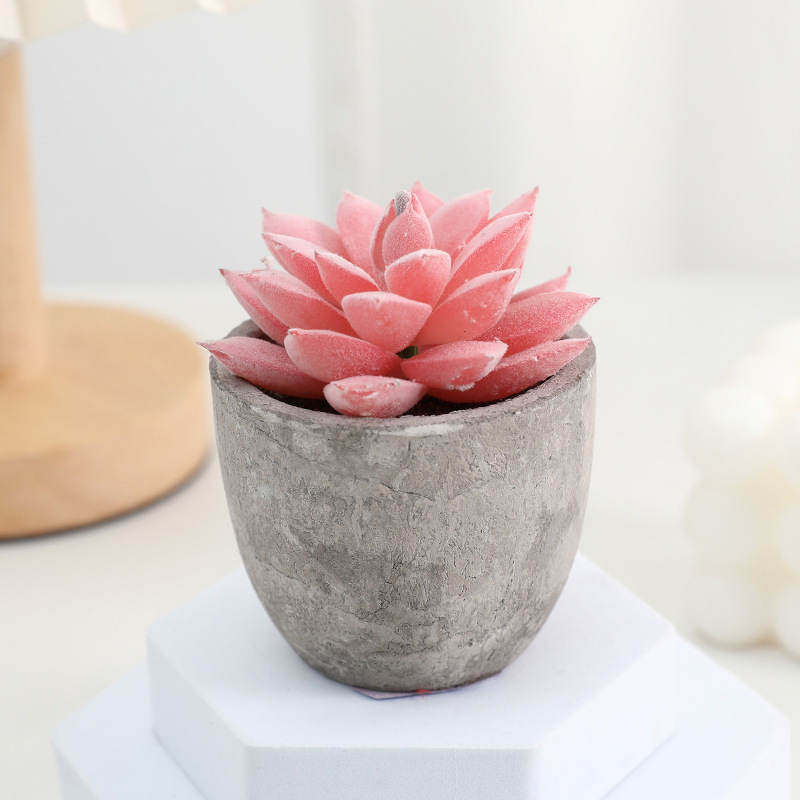 鉢植えのパルプの植毛の多い肉の鉢植えの家庭のデスクトップの事務室の置物をシミュレーションします。|undefined