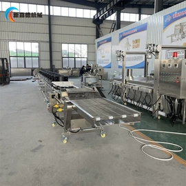 休闲食品加工;其他食品加工;食品杀菌设备