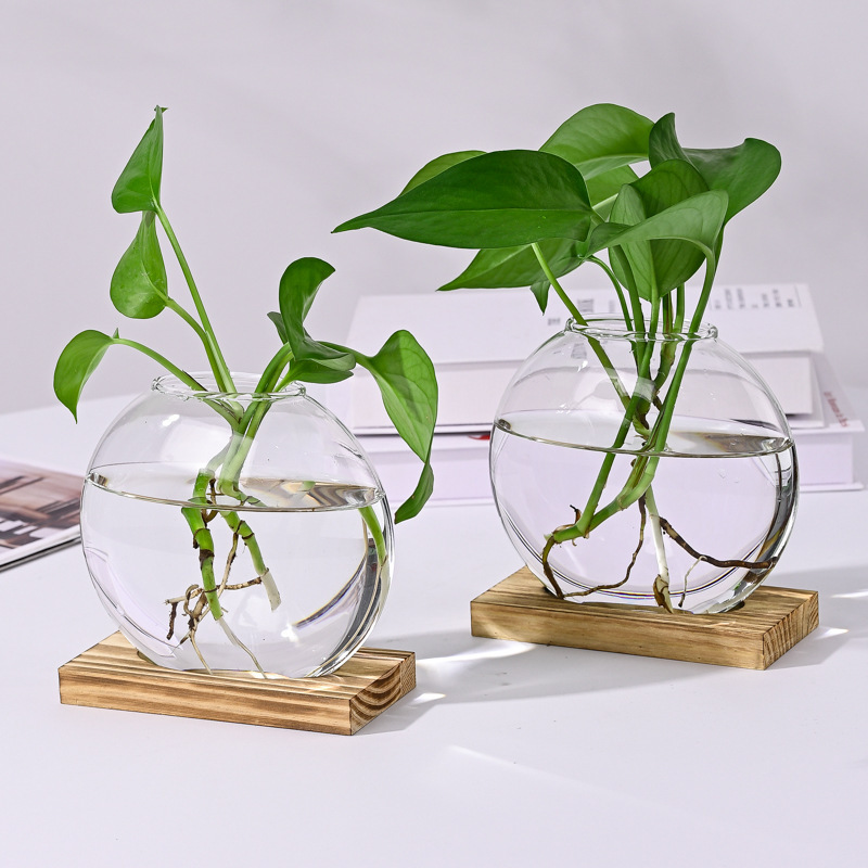 家居装饰插花容器创意水培绿萝玻璃花瓶客厅办公室桌面花瓶摆件