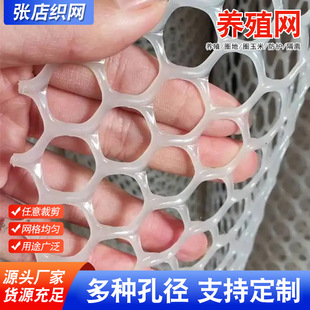 �����B�u�����ھW�~�����o�W�����Bֳ���x��ץ������ƽ�WȦ���׾W