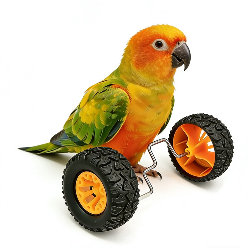 Parrot bird toy balance car, small and medium-sized bird supplies, roller skateboarding skill training props, cockatiel bird toy Parrot bird toy balance car, small and medium-sized bird supplies, roller skateboarding skill training props, cockatiel bird toy