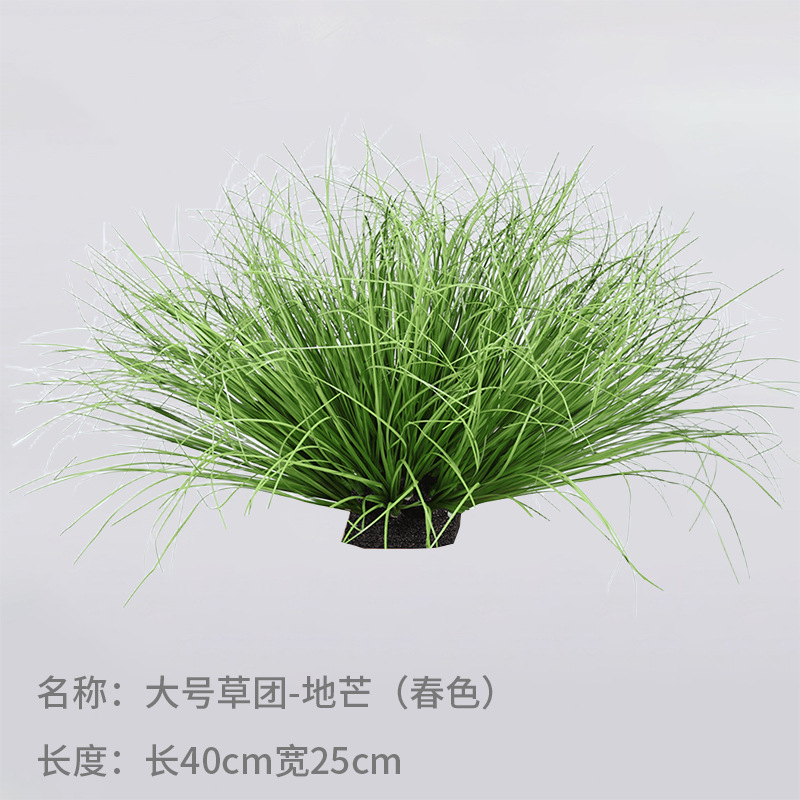 Mango de hierba grande (primavera)