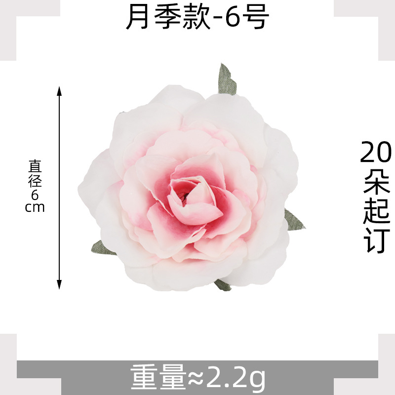 No.6 파우더 코어 화이트 로즈