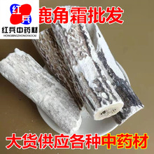 中药材批发 鹿角霜 鹿角白霜  量大从优