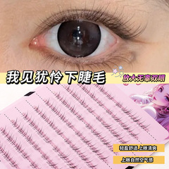 源头工厂批发兜兜甜见犹怜下睫毛仿真自然妈生感透明梗野生凌乱