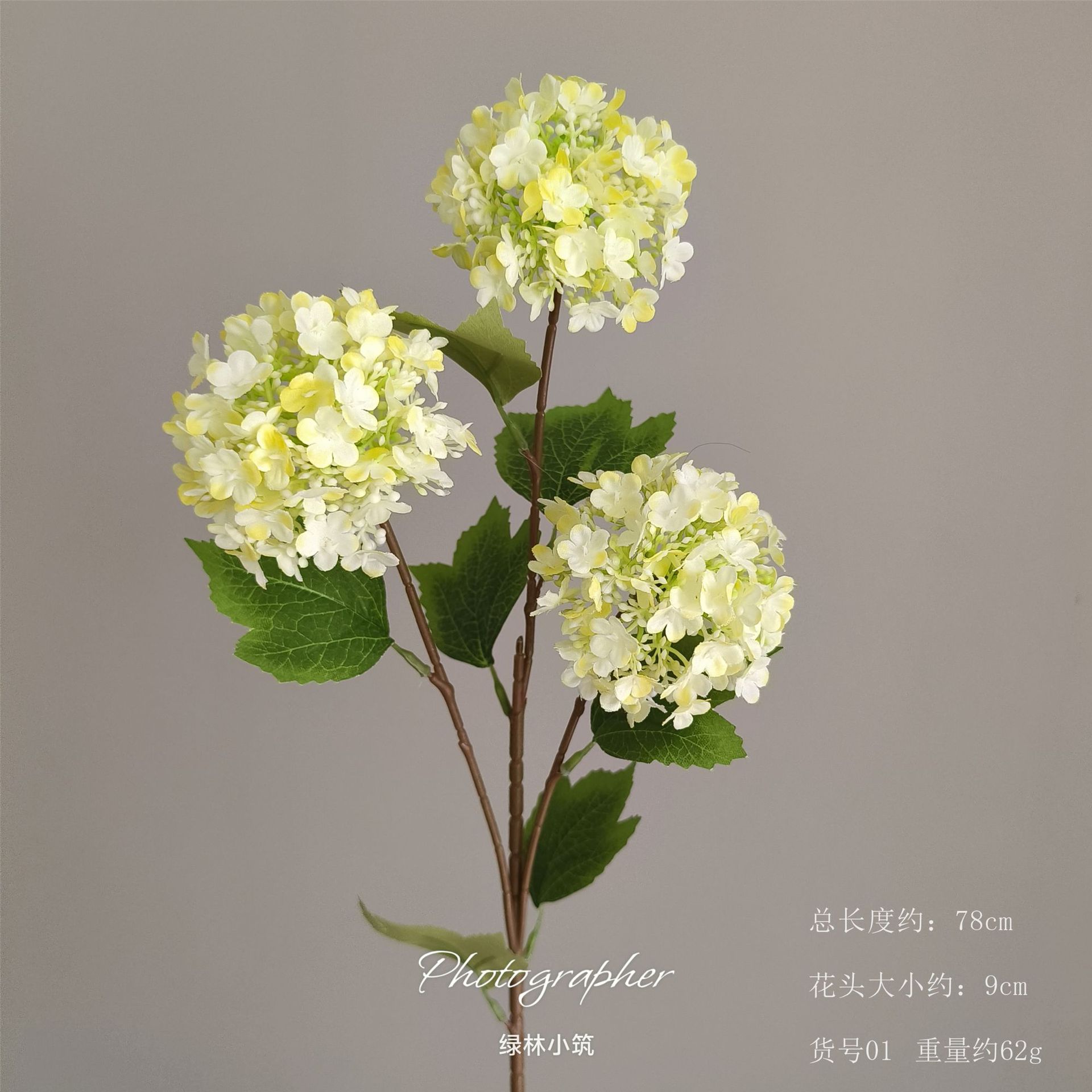 품목번호 01-3 머리목수국