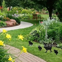 �羳4pcs����ĸ�u�cͥԺ����ƺ�����@�b���ƺ�u�F�bӵز�