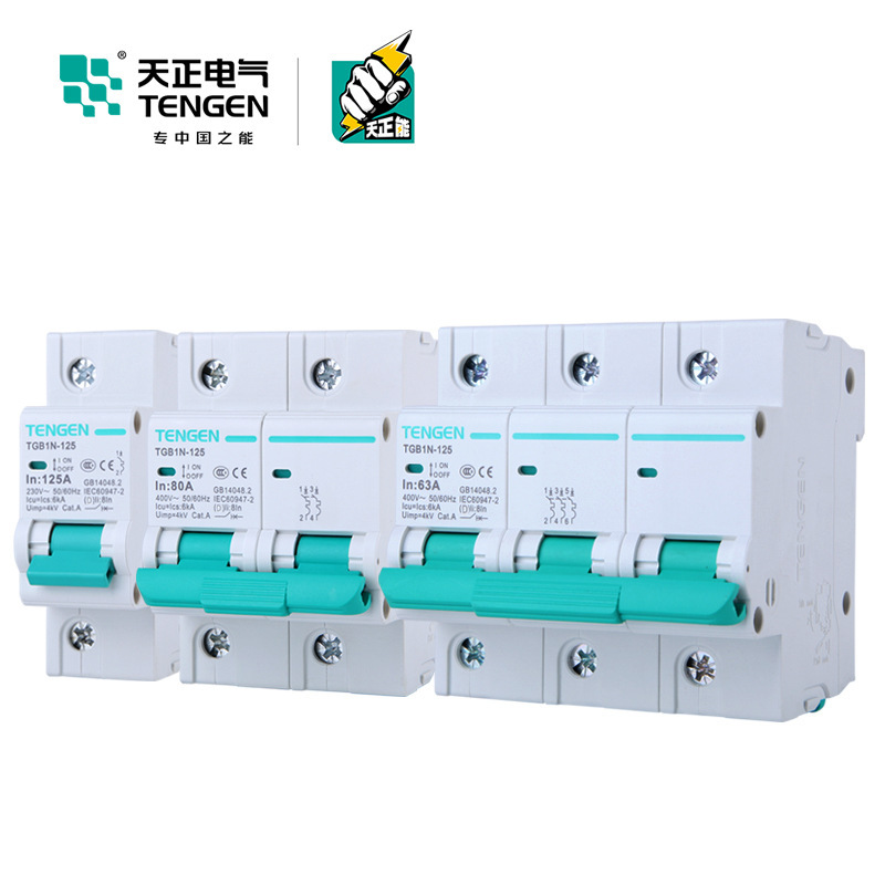 天正电气 TGB1N-125空气开关D型电动机启动动力型断路器2P3P 100A