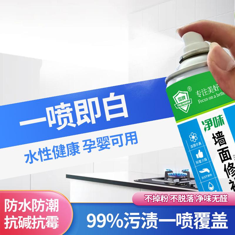 雷牌墙面去污补墙修补膏乳胶漆墙壁修复白墙面家用翻新涂鸦自喷漆