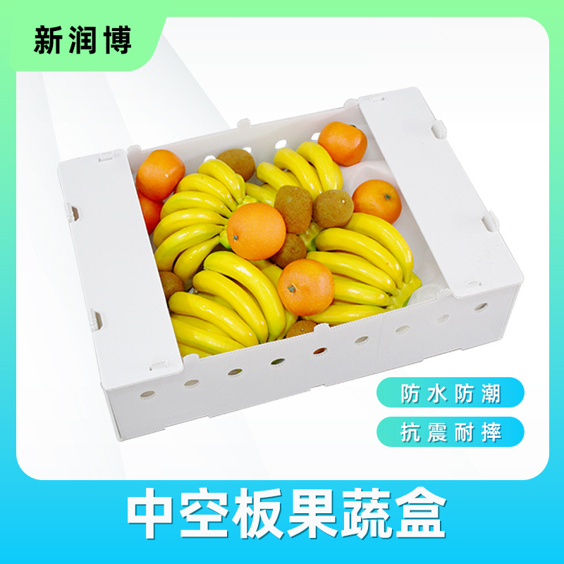 厂家供应PP塑料中空板 果蔬类包装空心板盒 瓦楞板盒 农用水果箱