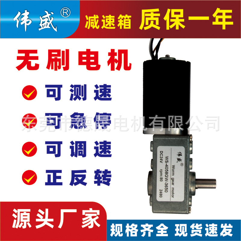 伟盛4058GW涡轮蜗杆减速电机12V24V蜗轮减速电机3650直流减速电机