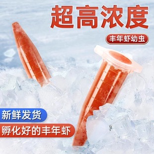 Brine Shrimp Eggs, Guppy Fish Feed, Frozen Larvae Special Fry Feed, Open Fish Food, Jellyfish Feed, High Protein