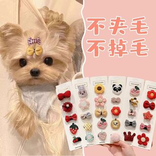 �����С��̩�ϰl�A؈���^s���Ĳ�����ë�A���㹷���ll�A