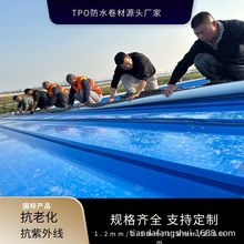 TPO防水卷材自粘天达防水厂家供应 厂房屋顶防水耐老化10000小时
