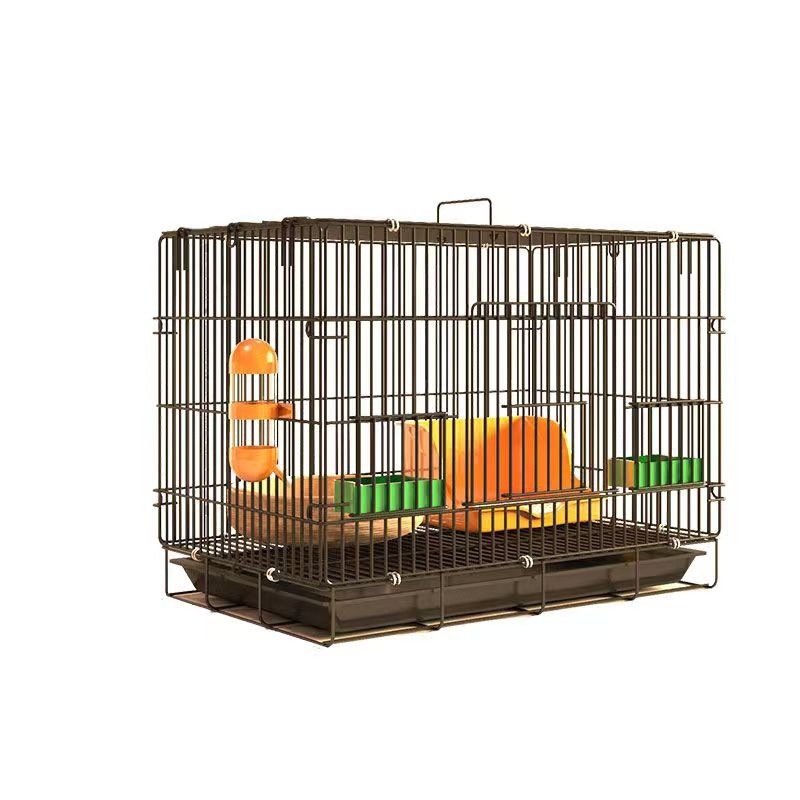 c6e0c22a-1bb2-4e95-b5aa-7561a0385d81.jpe