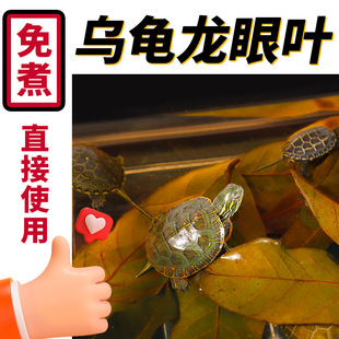 Longan Leaf Non-Boiling Small Turtle Life Supplies Tortoise Cage Raising Turtle Landscape Shelter House Landscape Grass Shelter Turtle Leaf