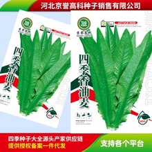 NӽISCNNڙ Slļ߲˷N