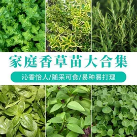 盆栽;园林果树;种子