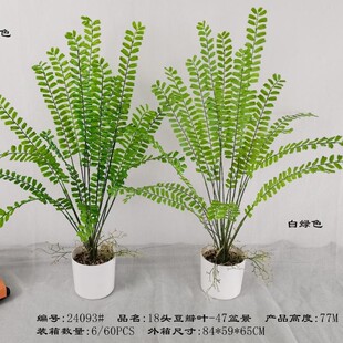 ����18�^�^��ާ-47�辰�Pβާ���~ɢβ���Gֲֲ���z�ﲨ˹18�^