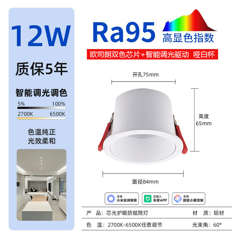 12w matte white connected⼊⽶Home app