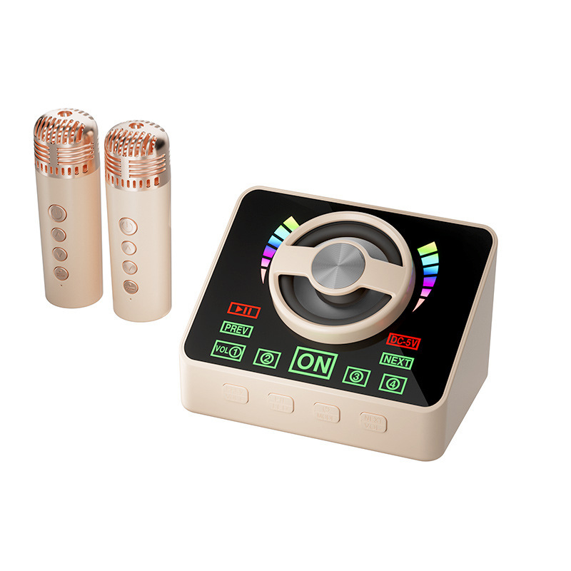 K12K30 Bluetooth カラオケ オーディオ オールインワン マイク マイク ライト付き アウトドア 子供 家族 KTV スピーカー セット|undefined