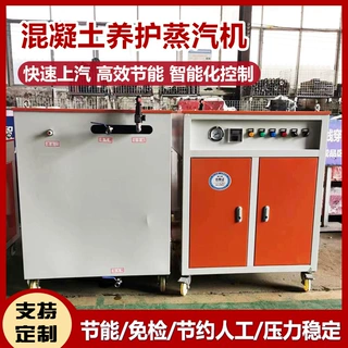 程煤蒸汽发生器冬季桥梁蒸汽养护设备混凝土养护蒸汽机