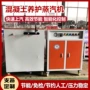 养护蒸汽冬季桥梁蒸汽机