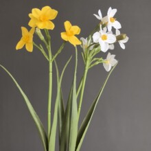 ����4�^ˮ�ɼٻ��貨�����u���� ����ʽ�ҾӘӰ��g�Ƶ�[���b�