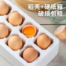 ����ɢ�B���u��50ö�������x�u�����s�Zι�B40g/����