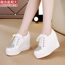 2025�＾ŮЬ�¿����lƽ�����߸��\�����eЬŮ��Ь�WЬһ�����l1