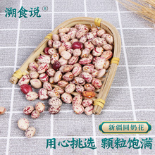 �½��a�^�ԷN��؛�̻�����ܿ��С���� �A�̻� ȸ���������½��A