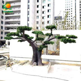仿真罗汉松大型假罗汉松水泥仿真迎客松室内外庭院造景摆件假树