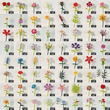 RͯСwƴeľõ廨șĳ߷eľģ