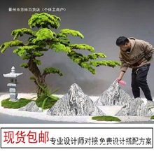 ѩʯƬM҃ɽˮʯ쾰ɽʯ^̩ɽͥԺ^ʯȻ[