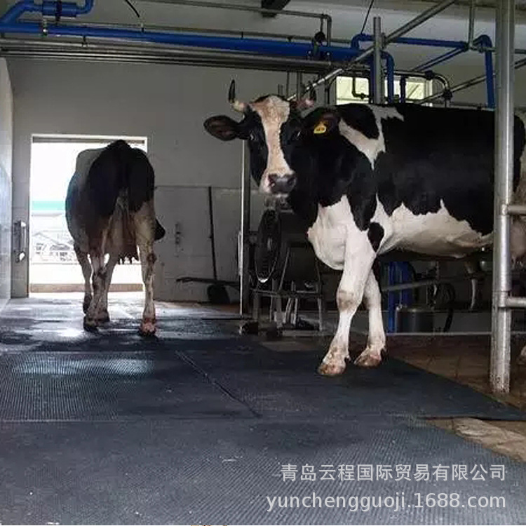 牛场专用防滑橡胶垫 方块花纹 圆点纹可以裁切  牛蹄防滑防摔伤