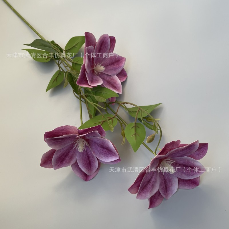 분홍색