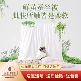 蚕丝被;四件套;蚕丝枕