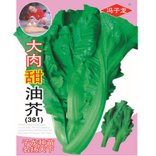 ꖹT߲˷NӴͽ@¶̨11