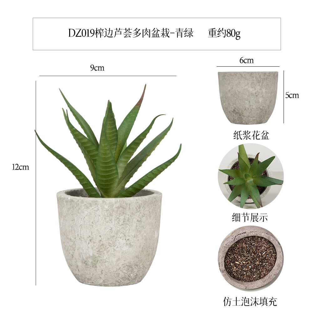 Más de 100 estilos de macetas de pulpa de papel vintage con plantas suculentas simuladas, pequeños adornos populares de estilo jardín para decoración del hogar transfronteriza. image 43